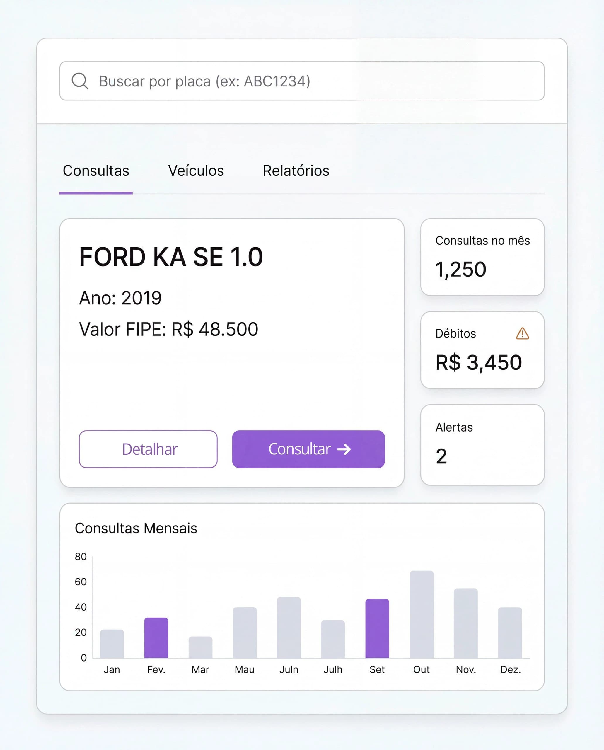 Painel web corporativo AnyCar mostrando consulta veicular, métricas mensais e gráfico de consultas